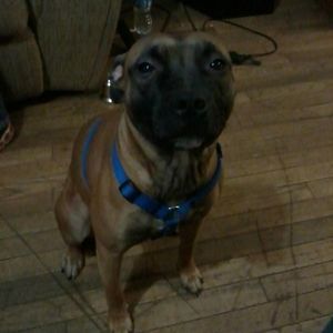 Meet your Posher, Allan